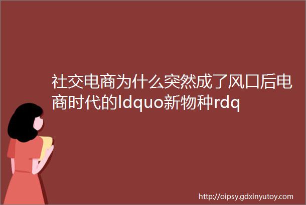 社交电商为什么突然成了风口后电商时代的ldquo新物种rdquo